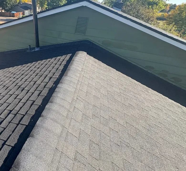 Black architectural shingle roof rising to a gable with trees beyond