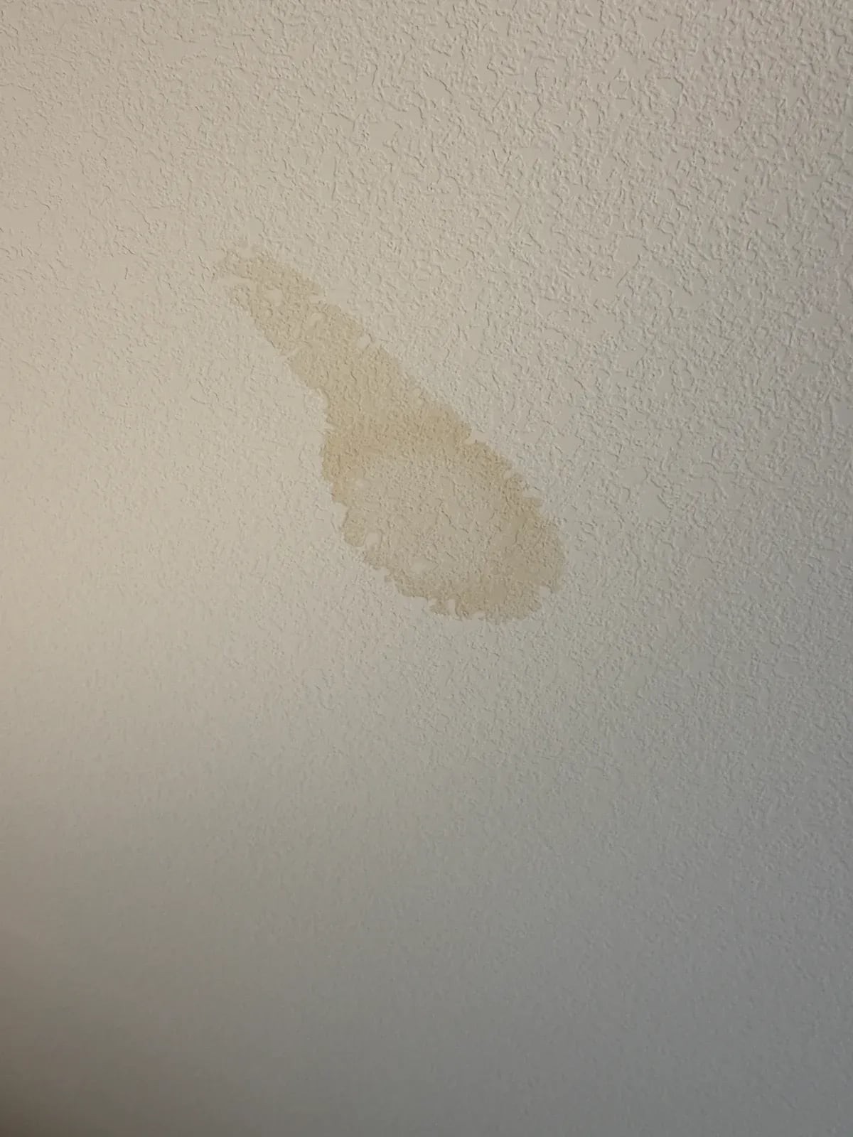 Brown water stain on a textured ceiling