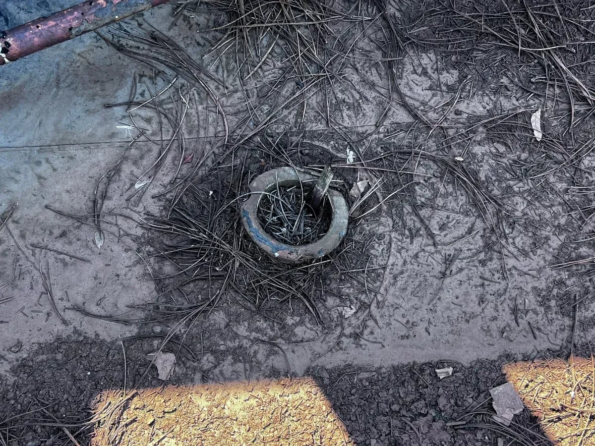 Roof drain clogged with pine needles and debris on a low-slope roof