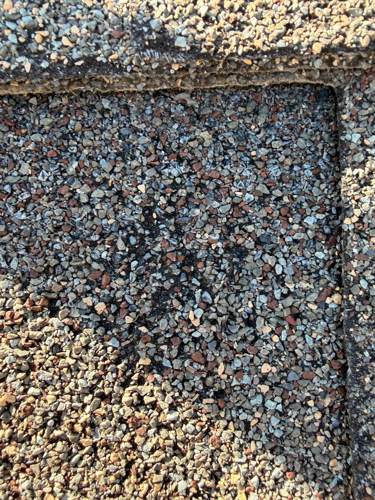 Asphalt shingle with a bare patch where granules are missing
