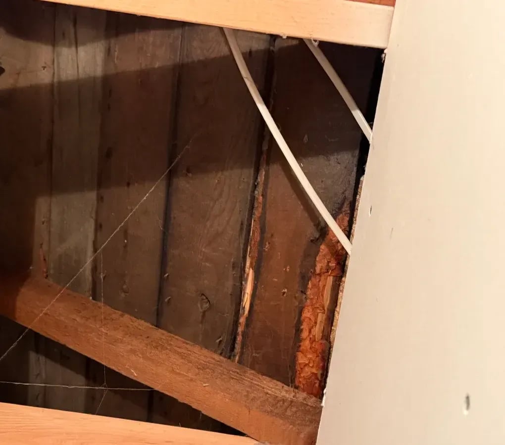 Dark, water-damaged roof sheathing and framing exposed in an attic space