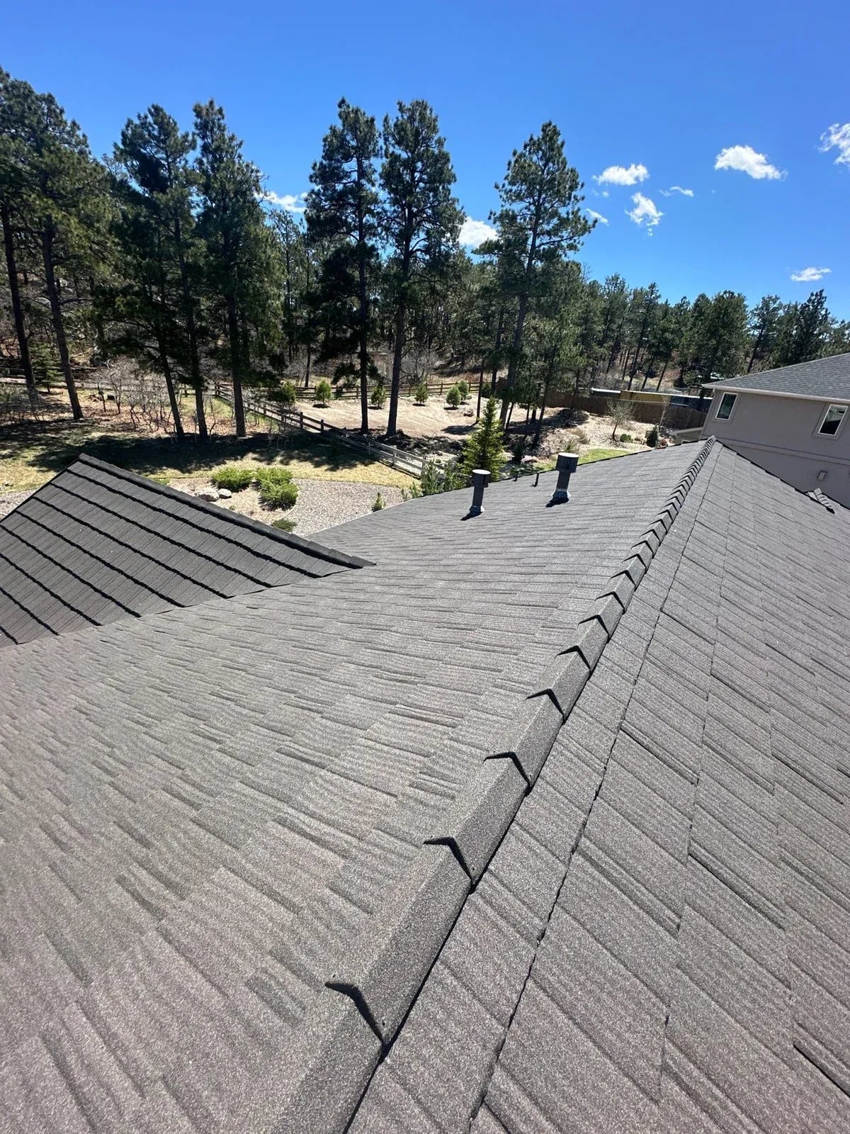 Shake-profile stone-coated steel roof with ponderosa pines and a wooded neighborhood beyond