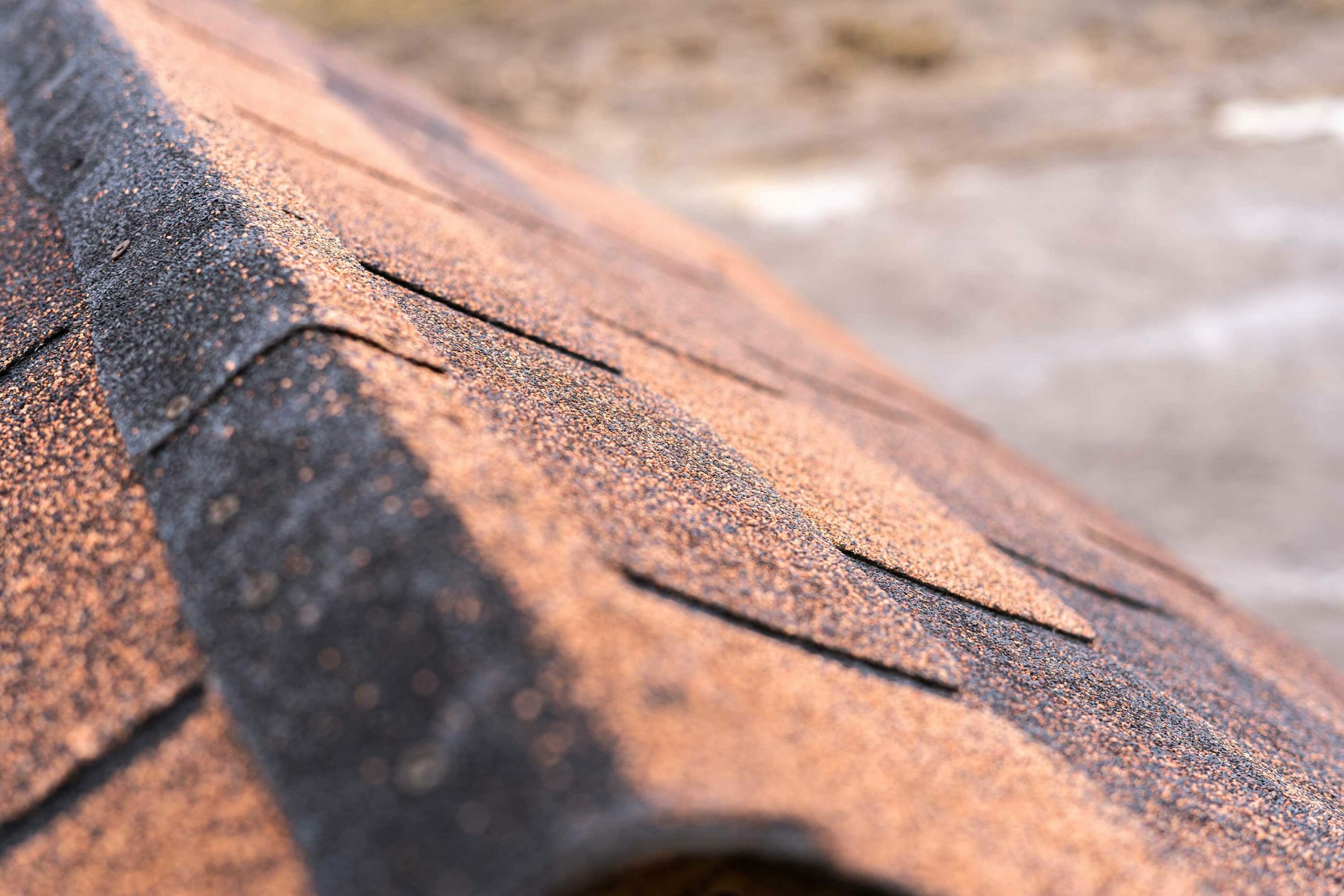Composition Shingle