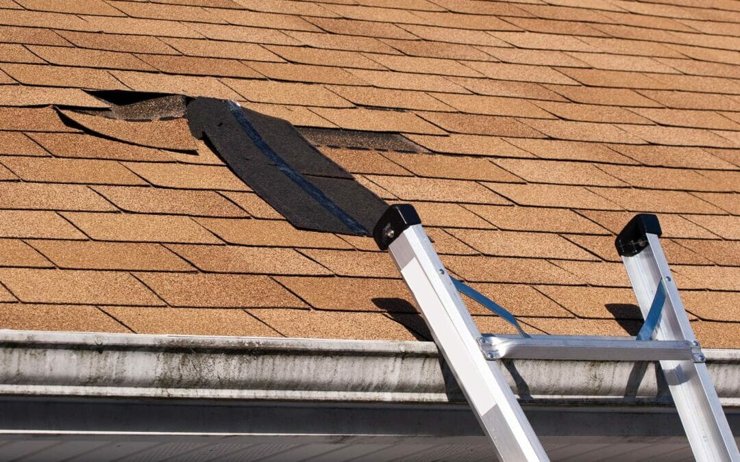 Spring Roof Damage Repair Company in Colorado Springs