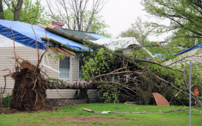 5 Steps to Take after a Storm Damages Your Austin Roof
