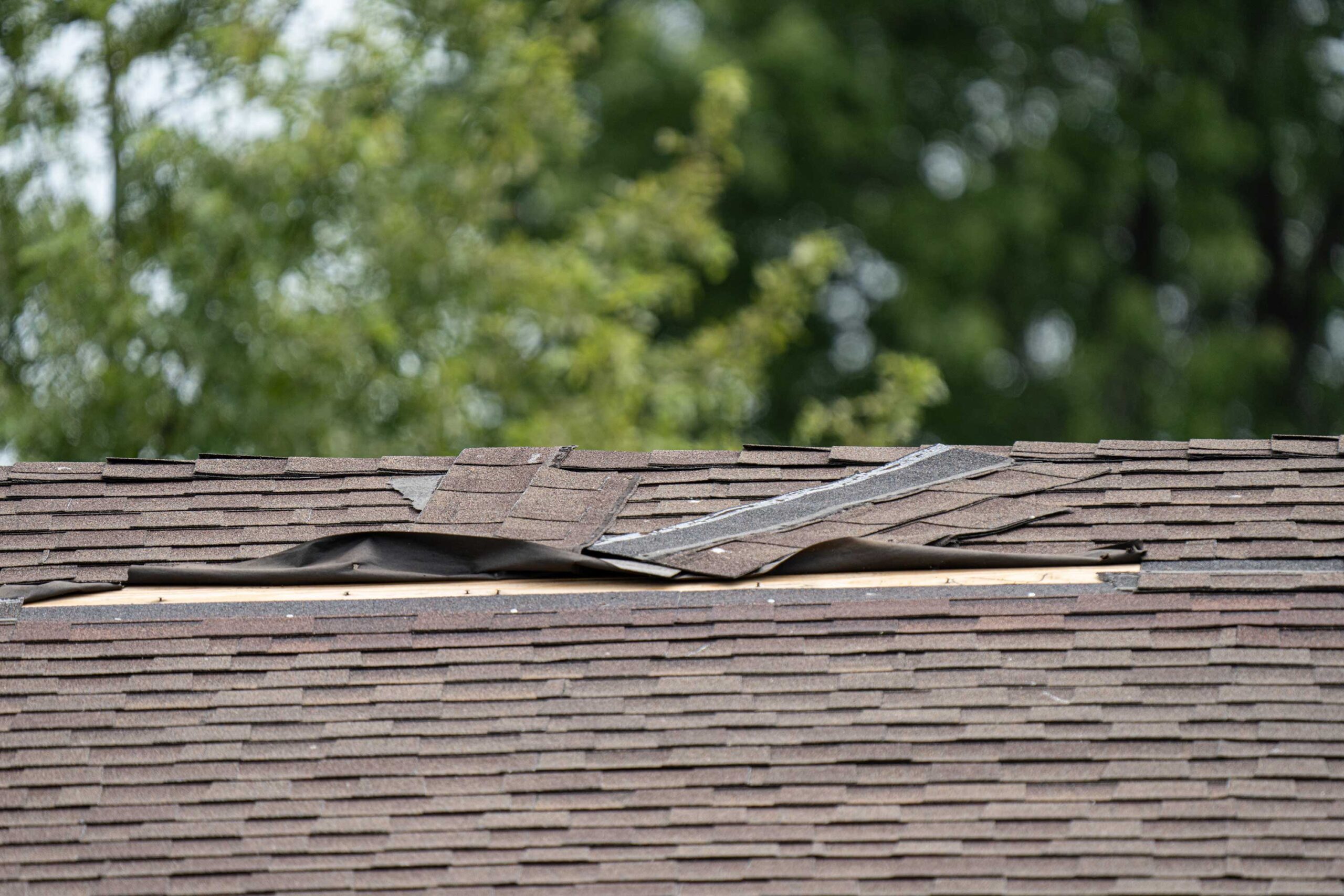 Know Your Rights: Understanding Storm Damage Insurance in Colorado