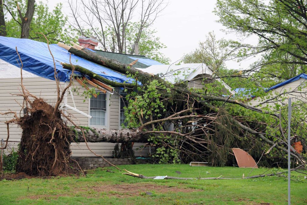 roof storm damage, emergency roof repair in Denver