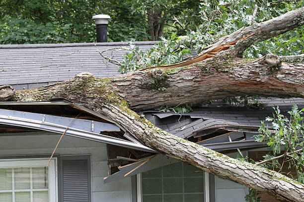 storm damage repair expert in Peyton, CO